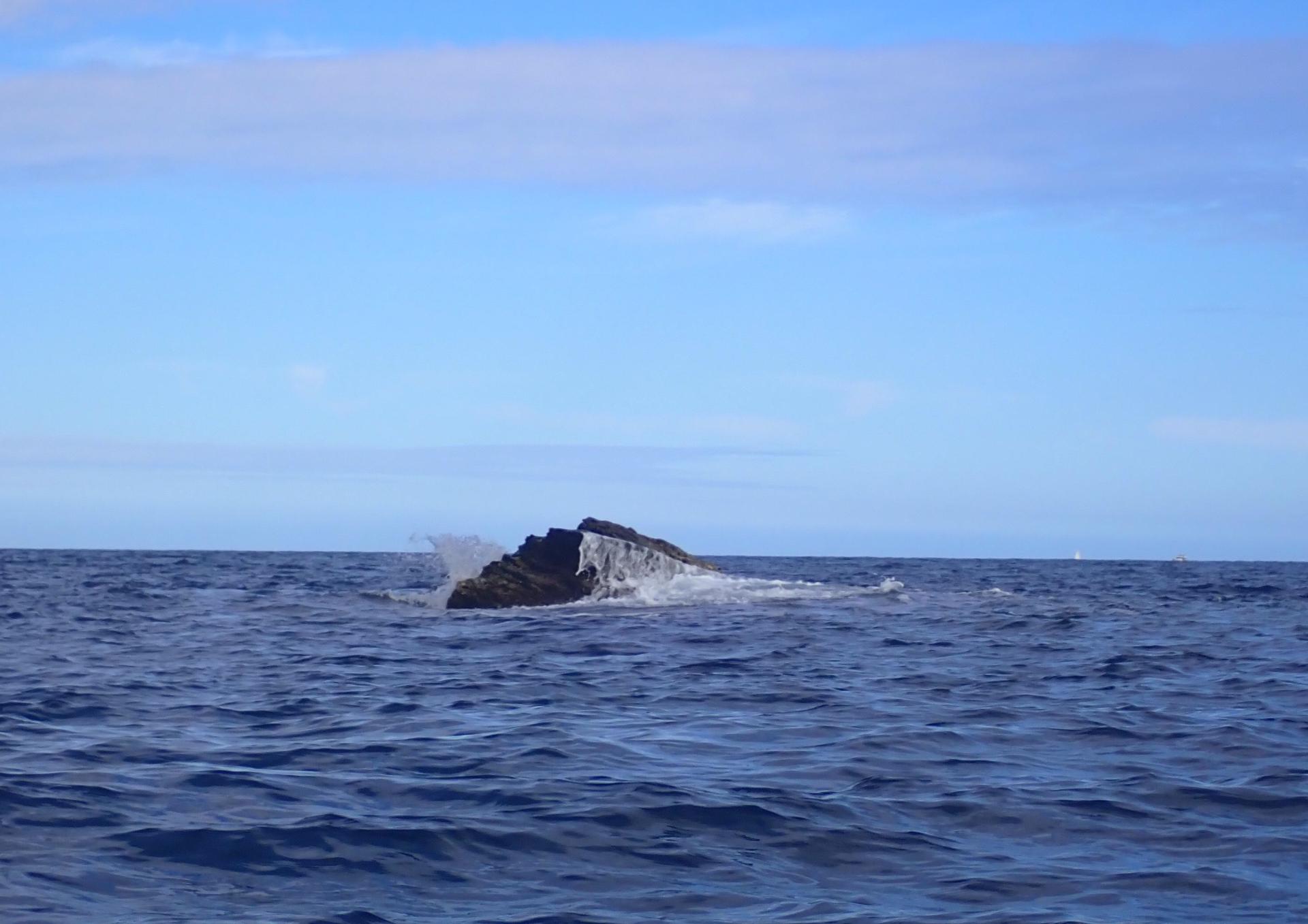 Forall&oacute; d'en Pereta