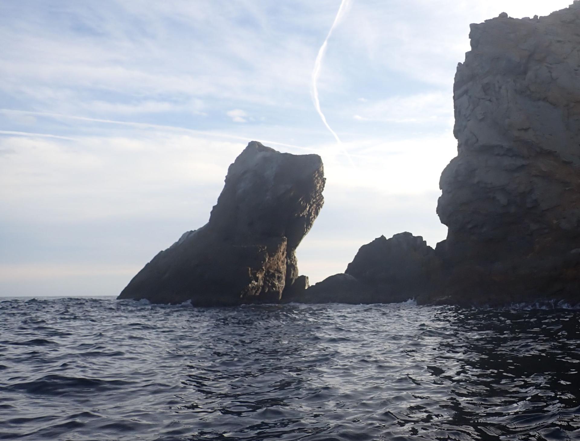 Illa del Gat (de Cap de Norfeu)