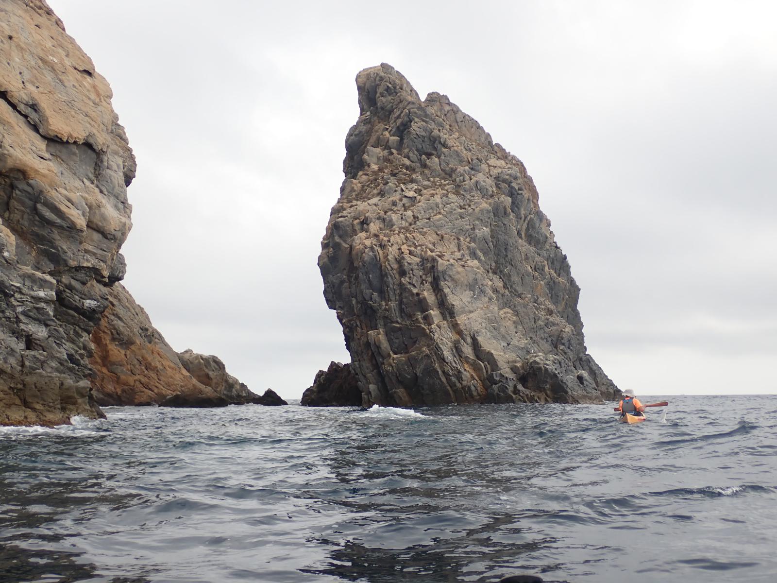 el Cavall Bernat (de Cap de Norfeu)