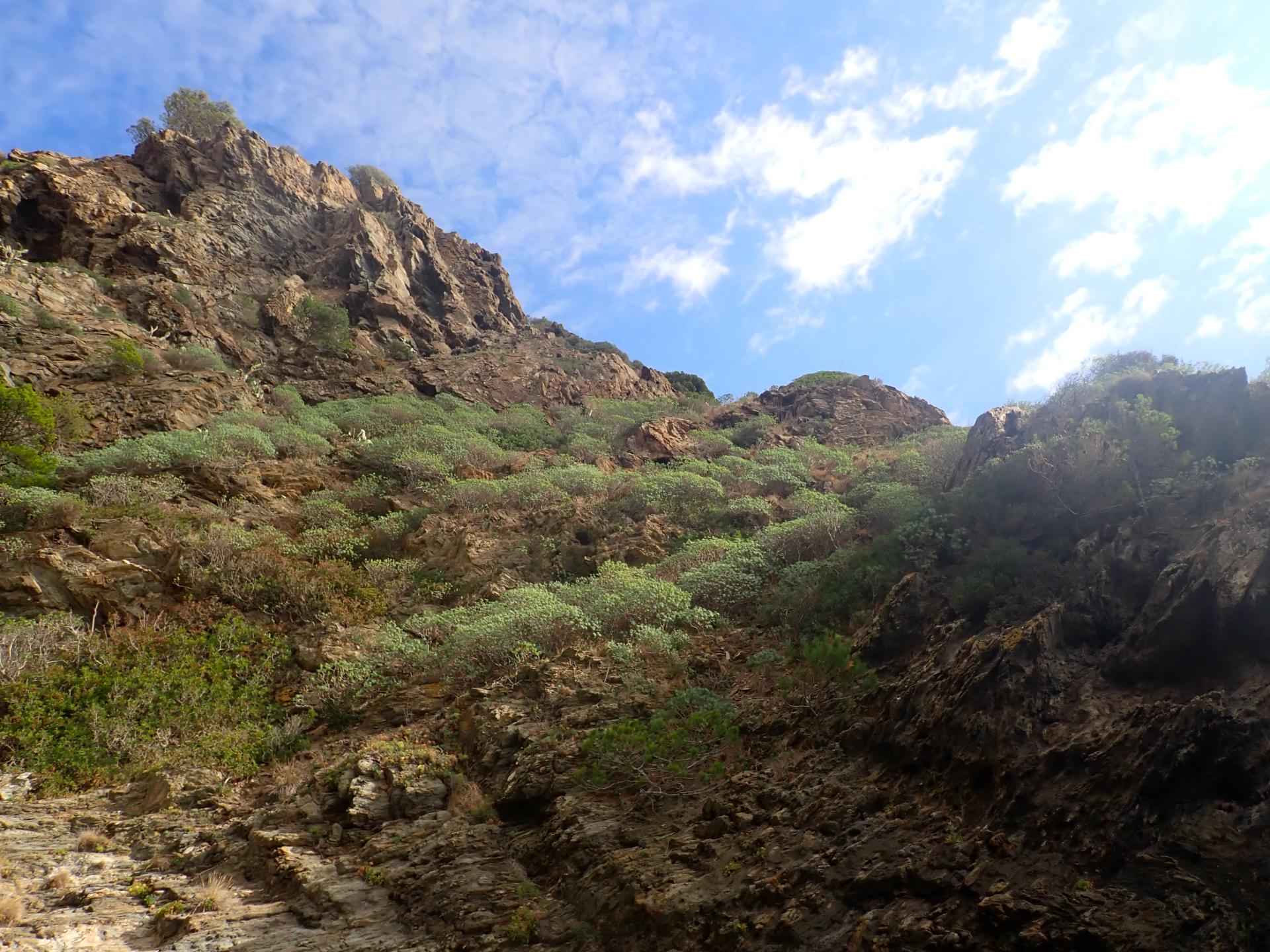 Rac&oacute; de les Lletreres