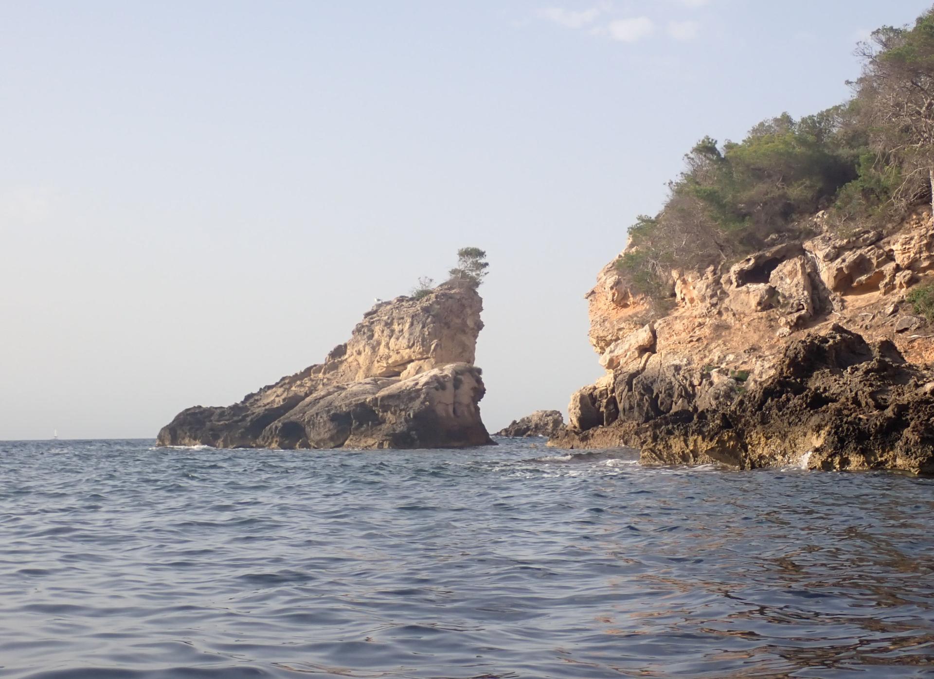 Illot de Cala Falc&oacute;