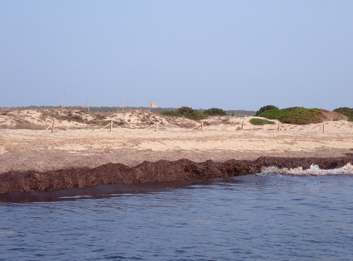 Platja de ses Savines - s'Empalmador