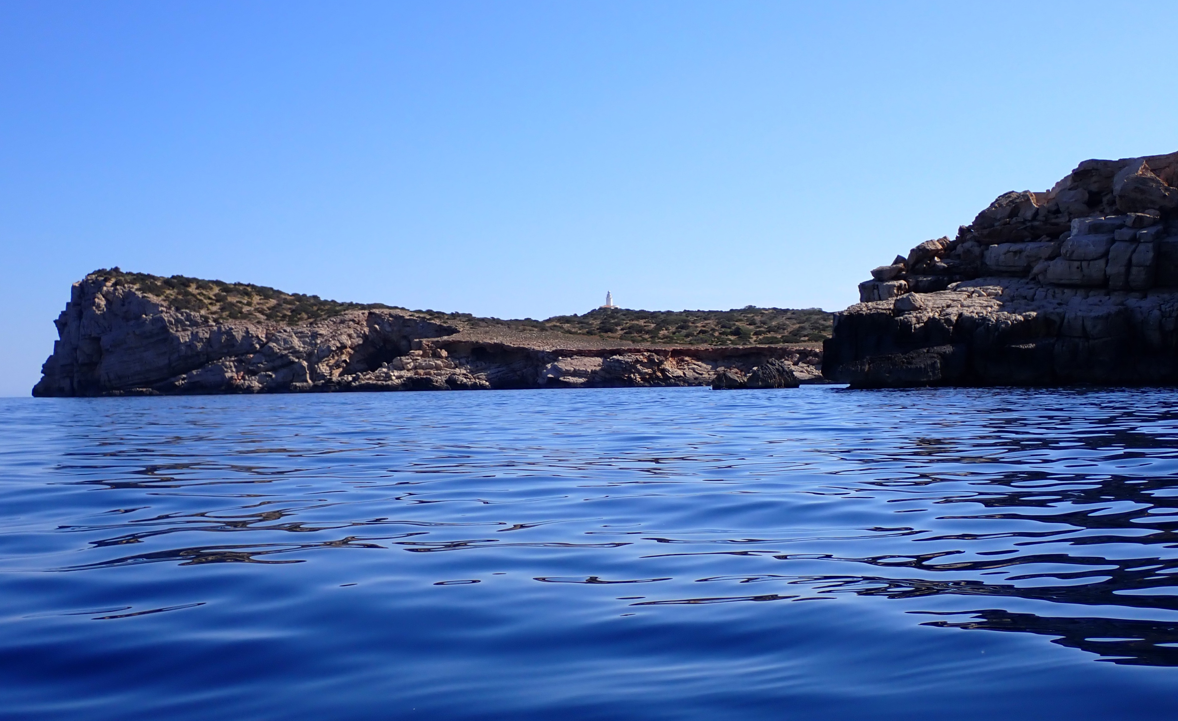 Est&agrave;ncia de Fora