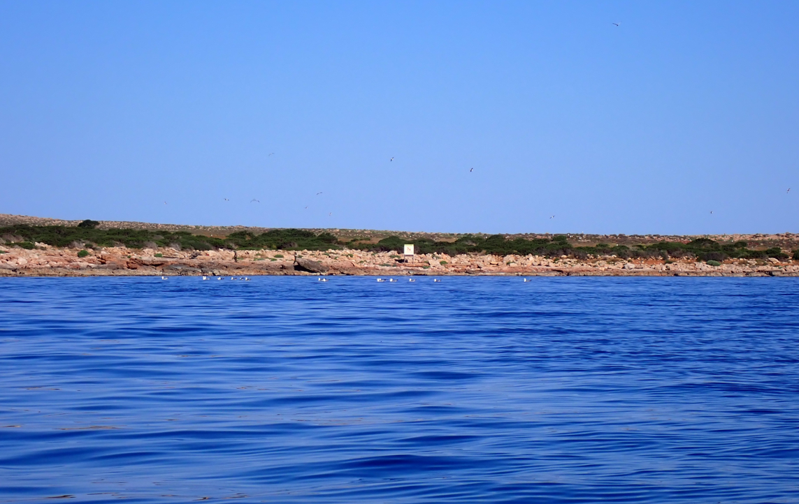 Est&agrave;ncia de Dins