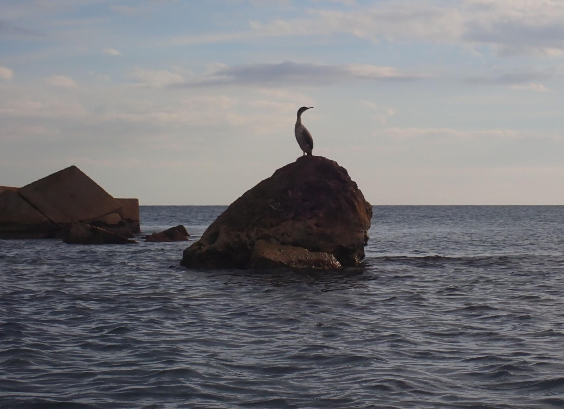 roca de l'espig&oacute; 