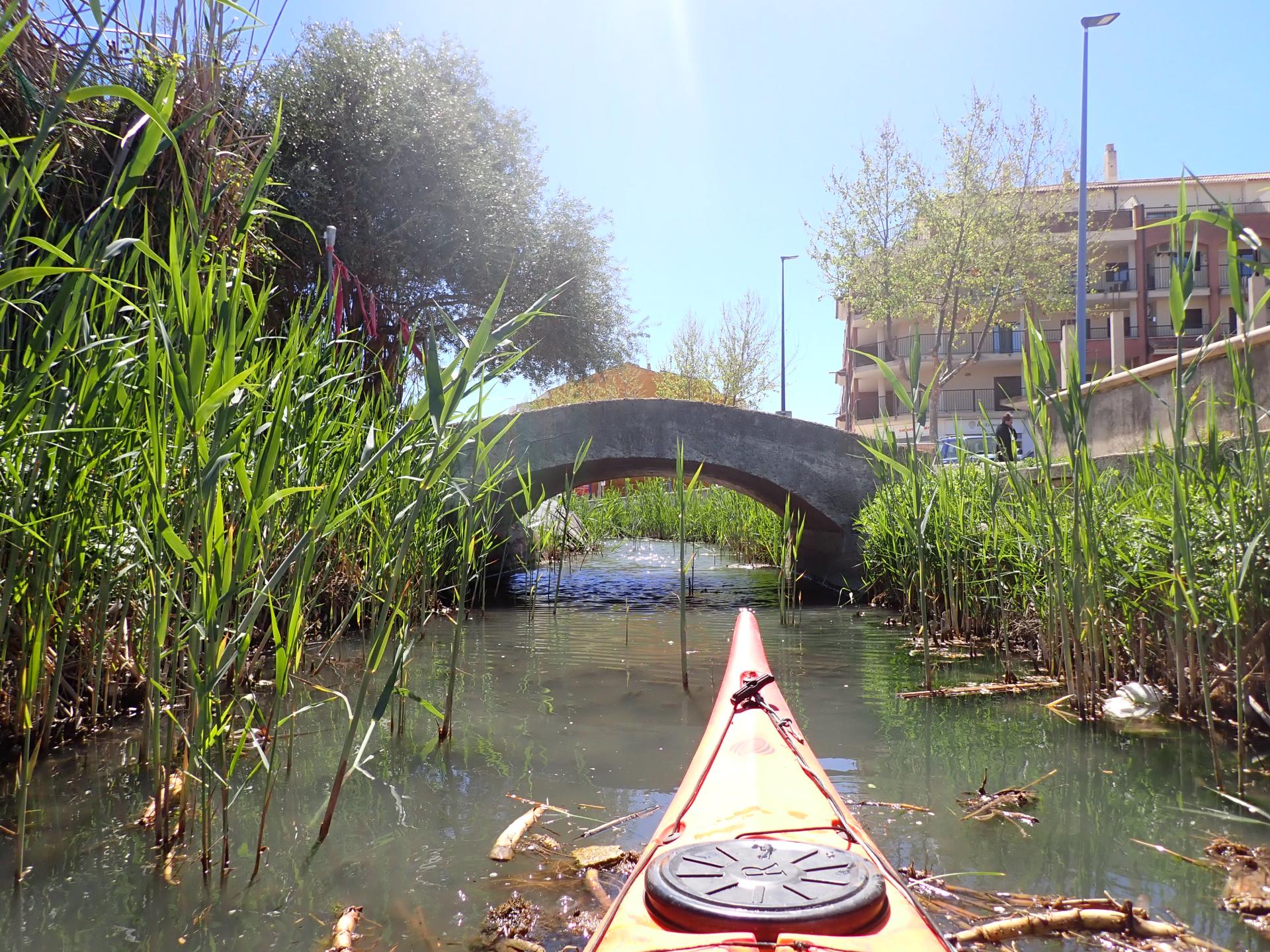 S&egrave;quia del Rei - lo Puntarr&oacute;