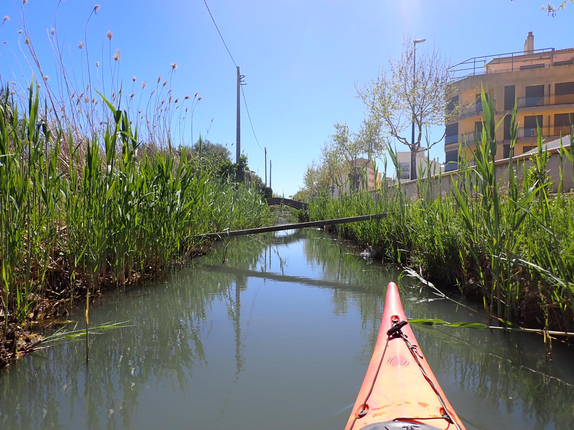 S&egrave;quia del Rei - lo Puntarr&oacute;