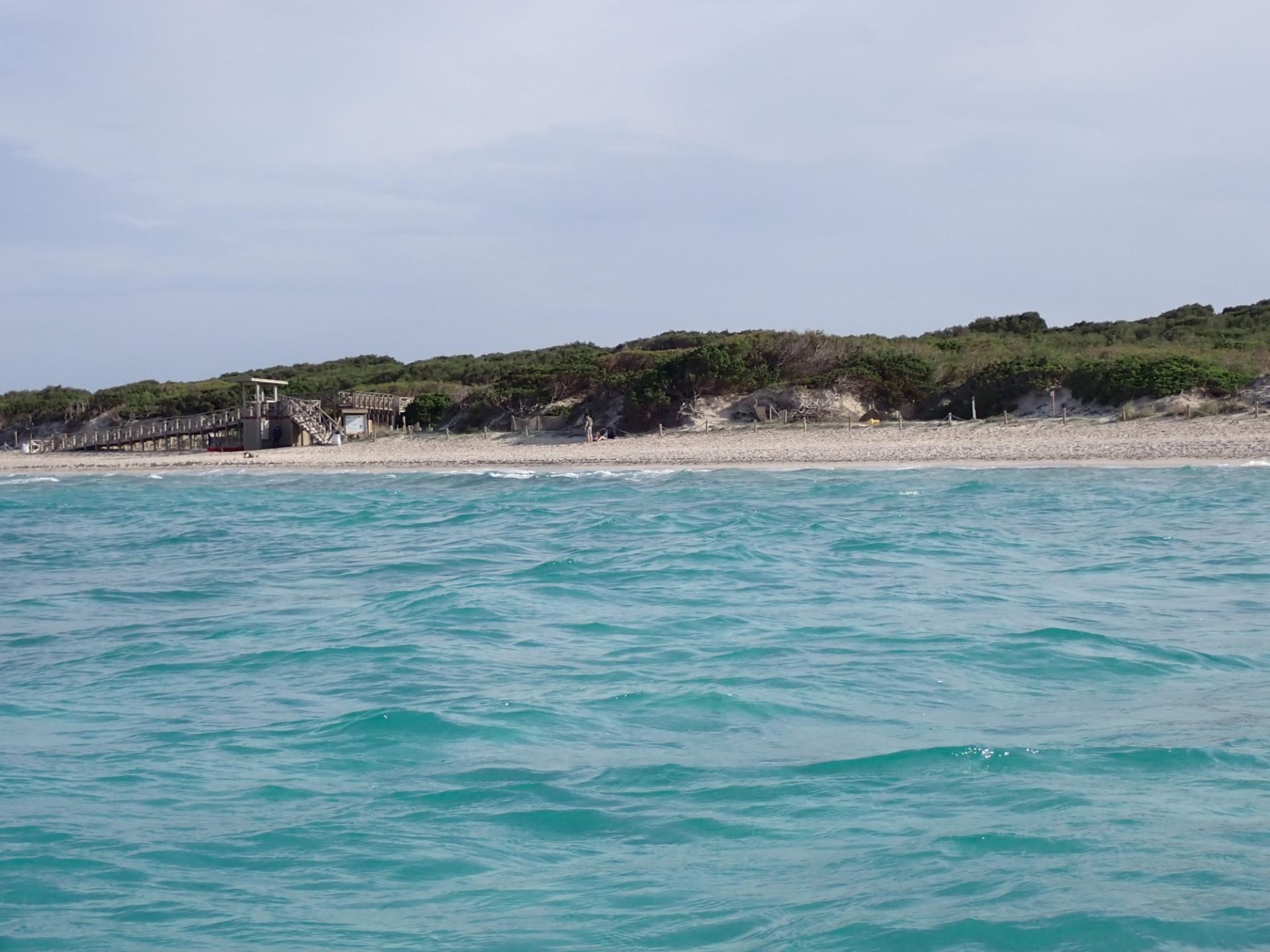 Platja de sa Comuna de Muro