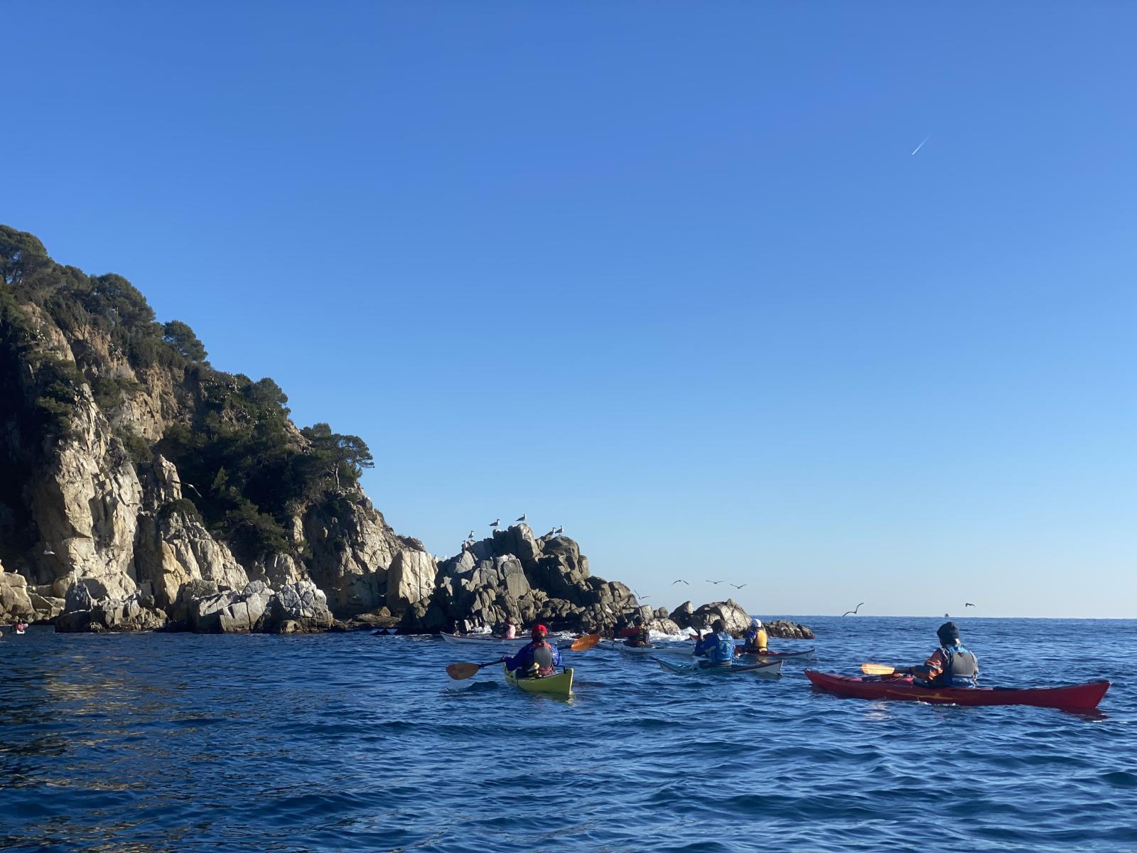 Illot de sa Punta de Fenals