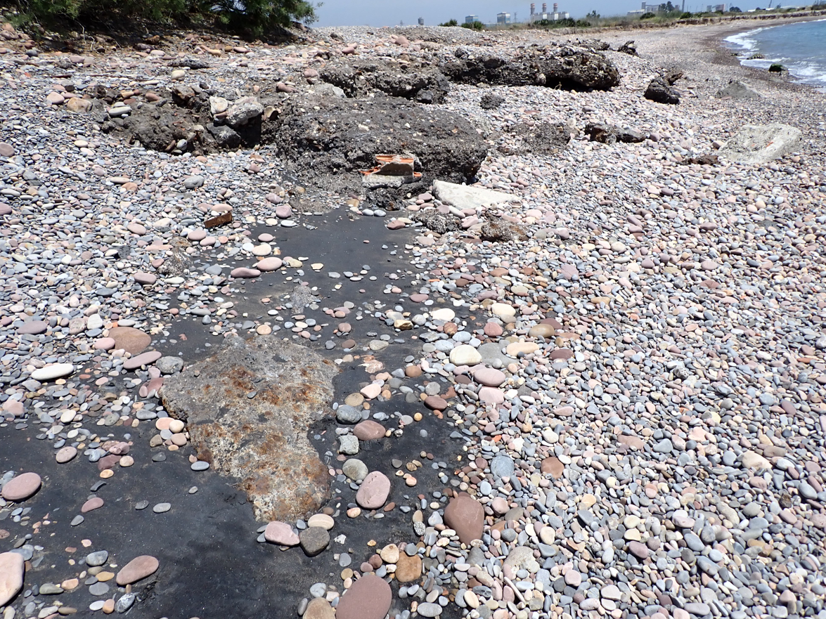 Tamarells del Cam&iacute; de la Mar