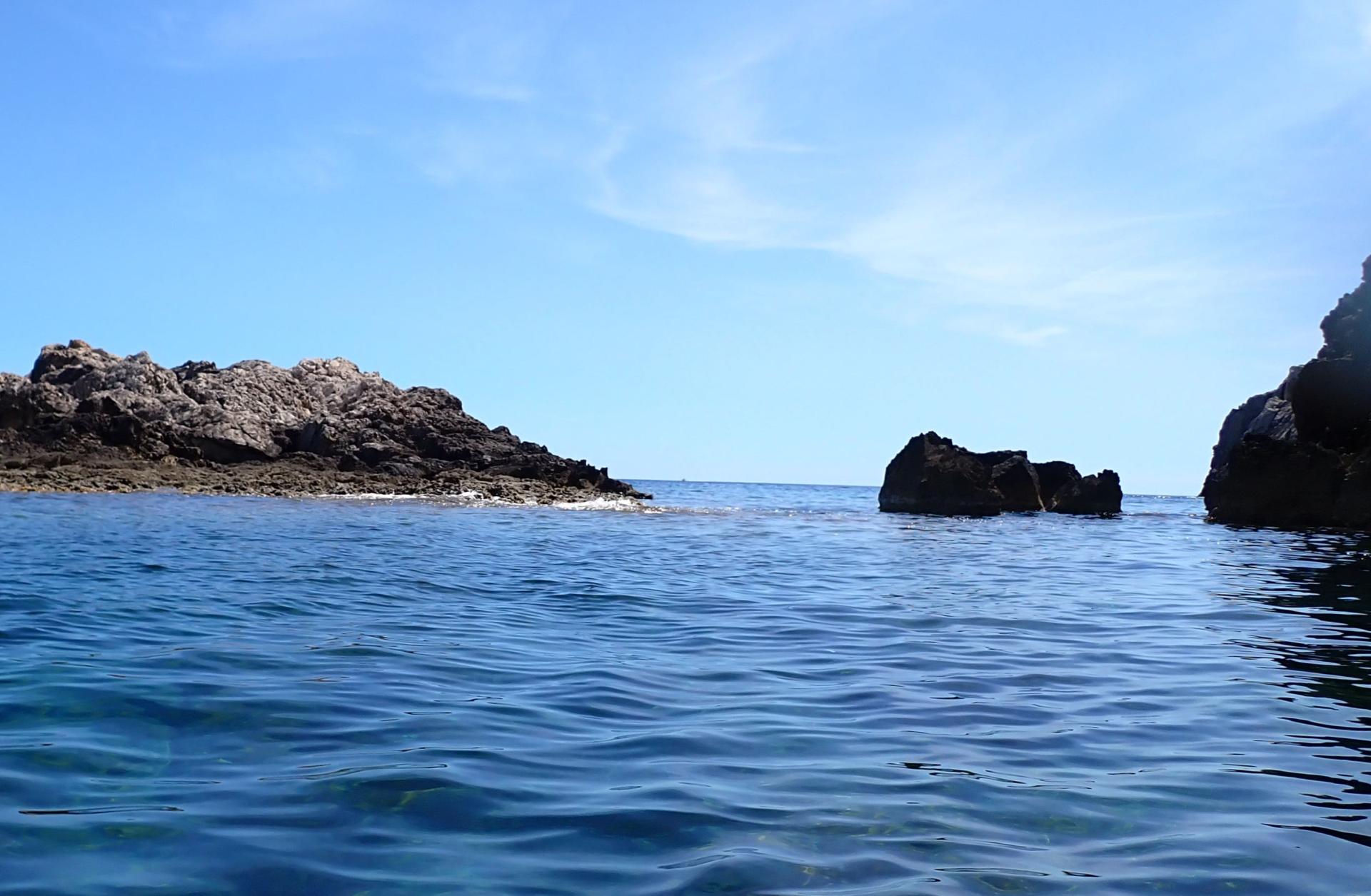 Freu de na Joanassa