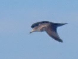 es Vedr&agrave; 380 m