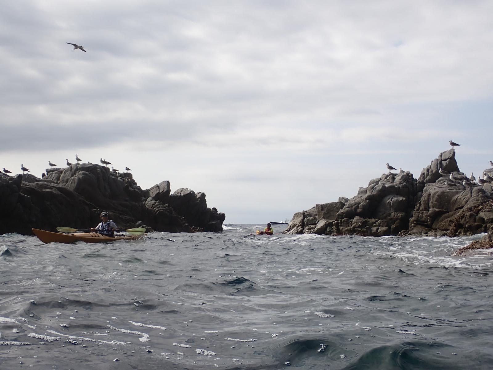 Freu de Cala Molt&oacute;
