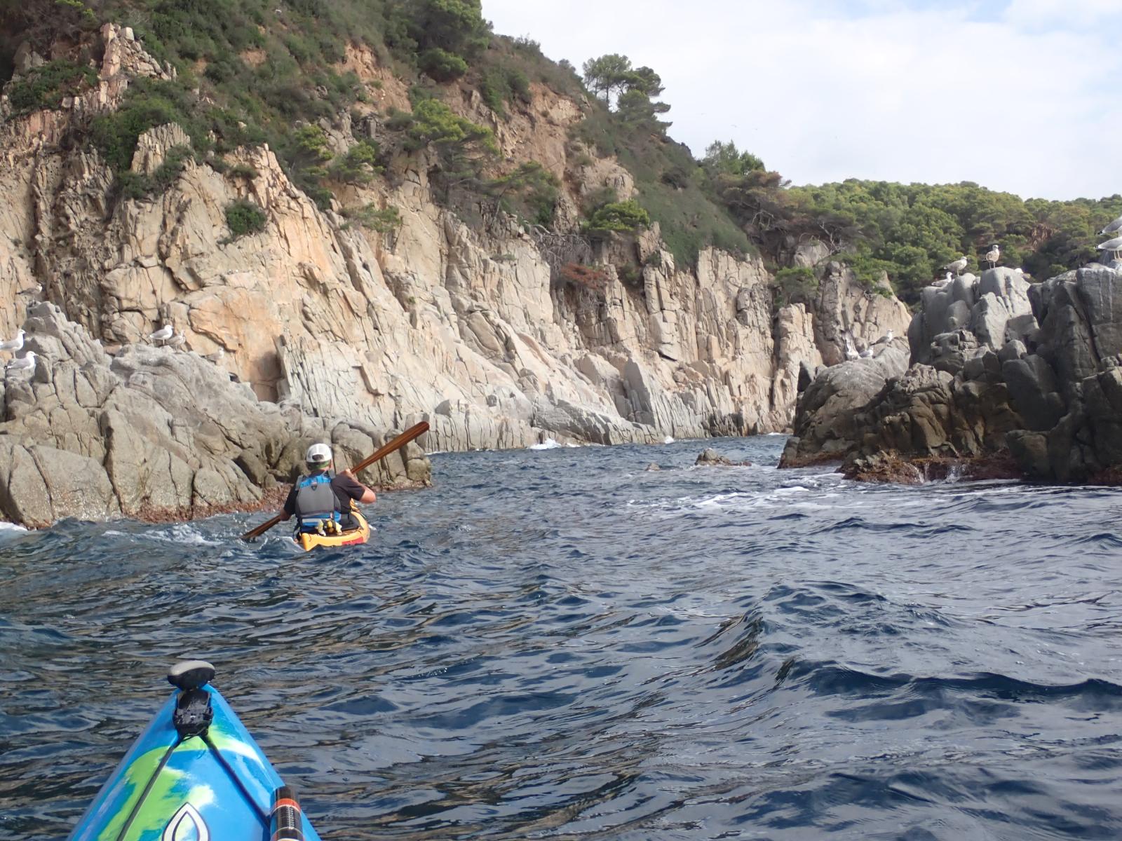 Freu de Cala Molt&oacute;
