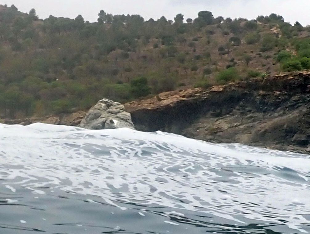 Illa Petita o el Burro