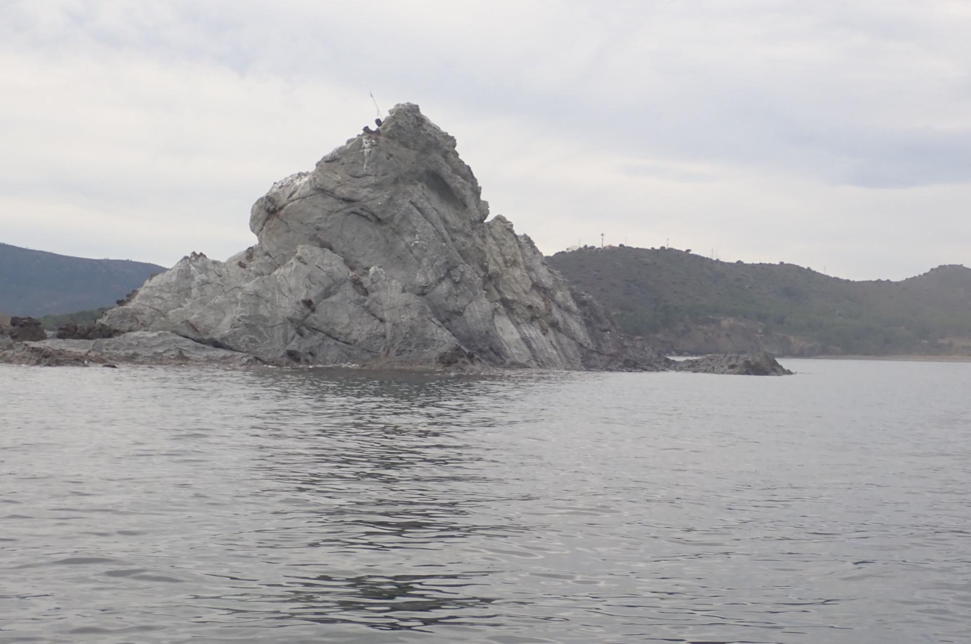 Illa Petita o el Burro