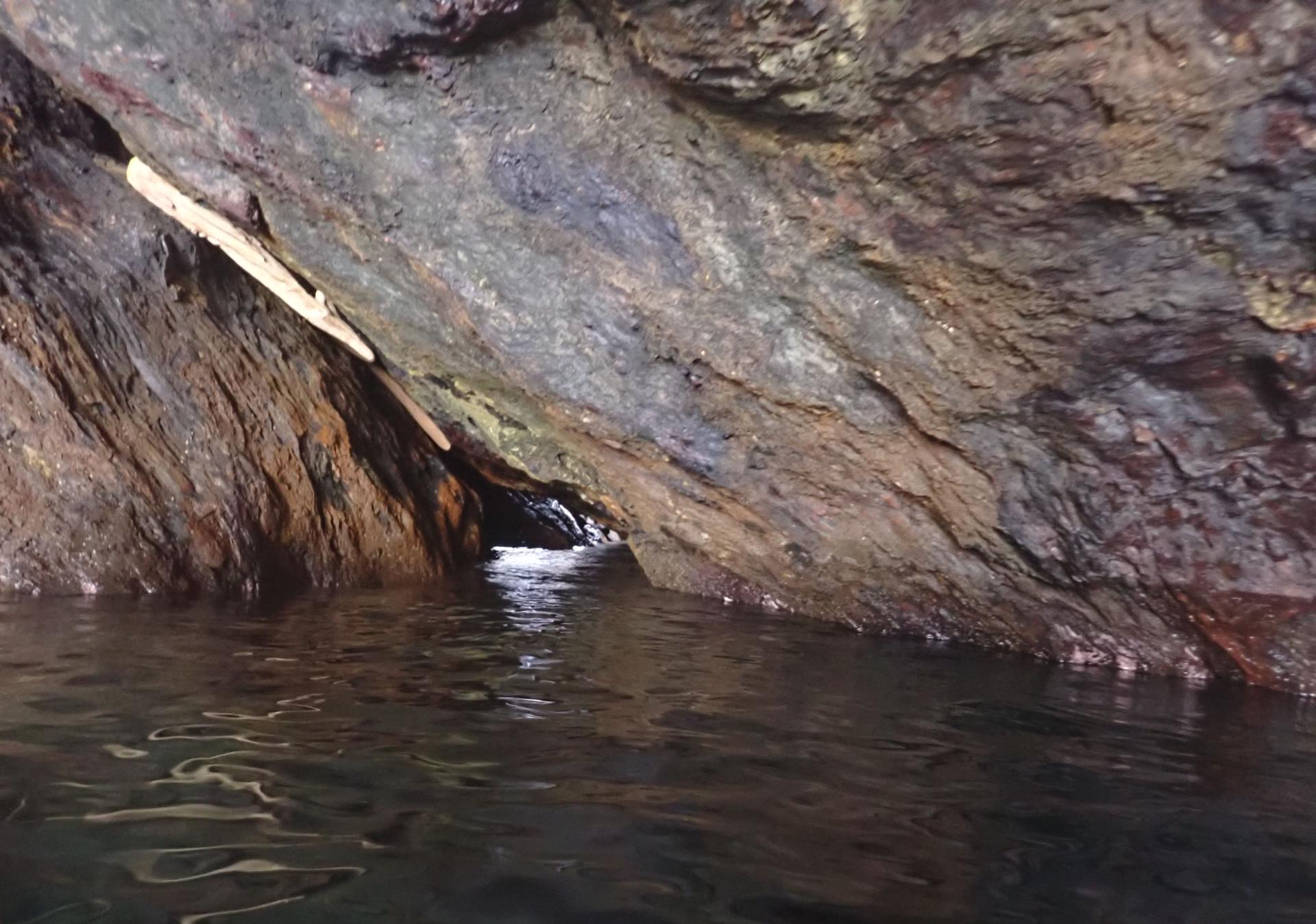 Cova d'en Xamuixa 20m