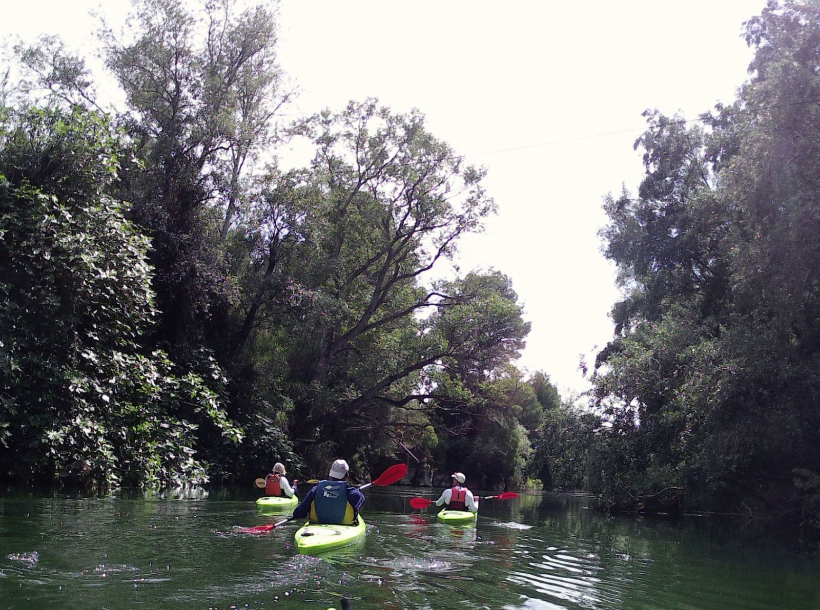 Canal de l'Illa de Cateura