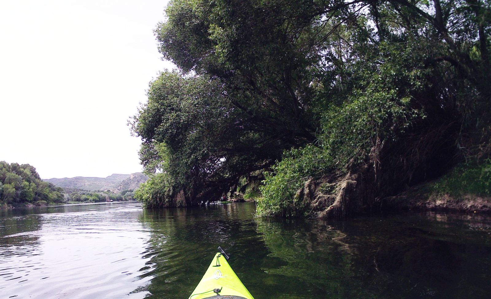 Illa de Riu Gran o les Illetes