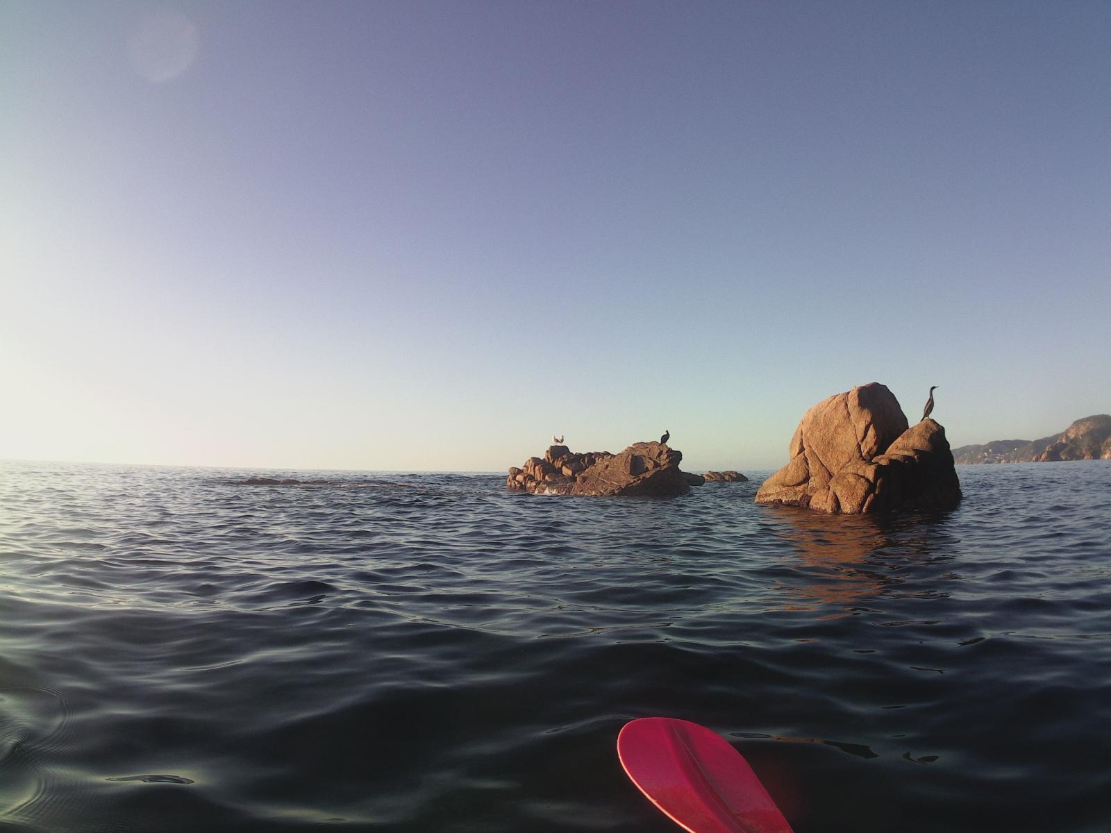 Esculls de Rocacorb de garb&iacute;