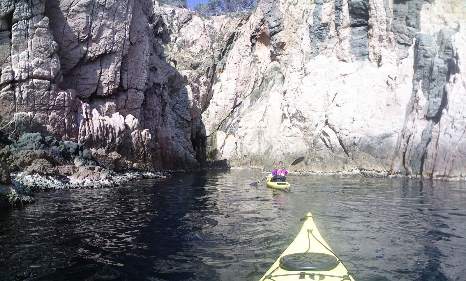 Cova de l'&Agrave;via Catalana