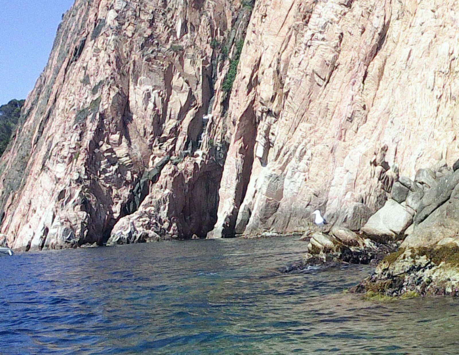Cova de sa Gavina