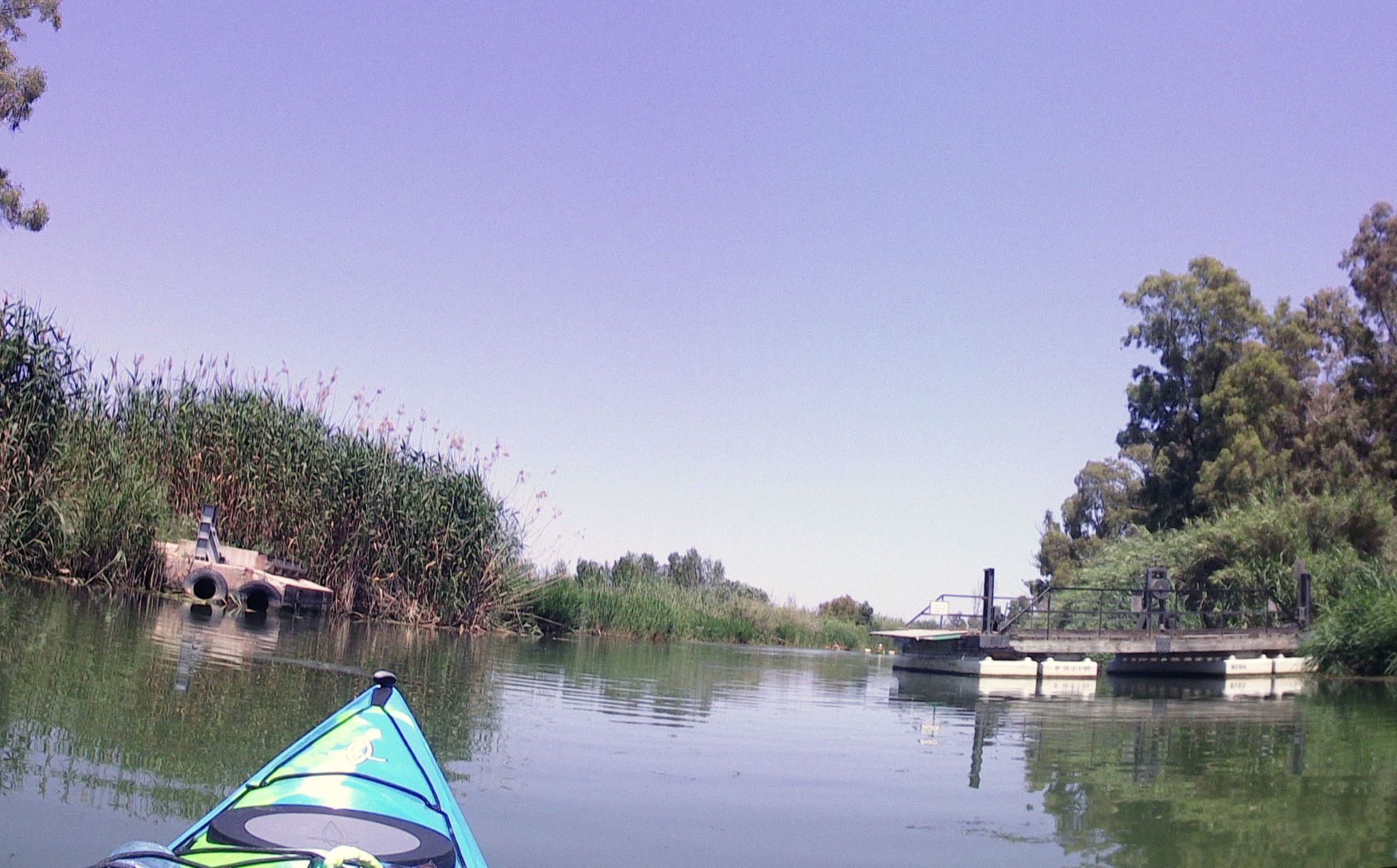 Sif&ograve; del Canal Dret de l'Ebre