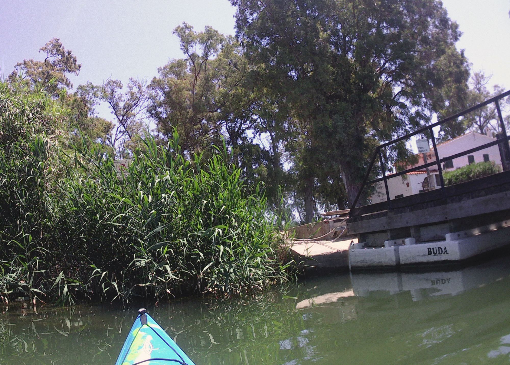 Sif&ograve; del Canal Dret de l'Ebre
