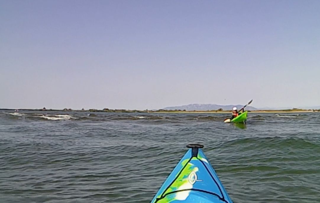 Desembocadura Ebre, Ona est&agrave;tica