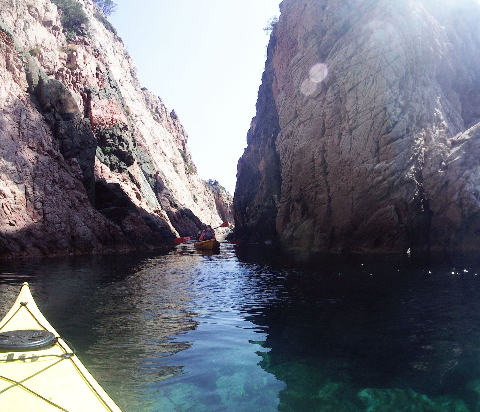 Rec dels Arbres
