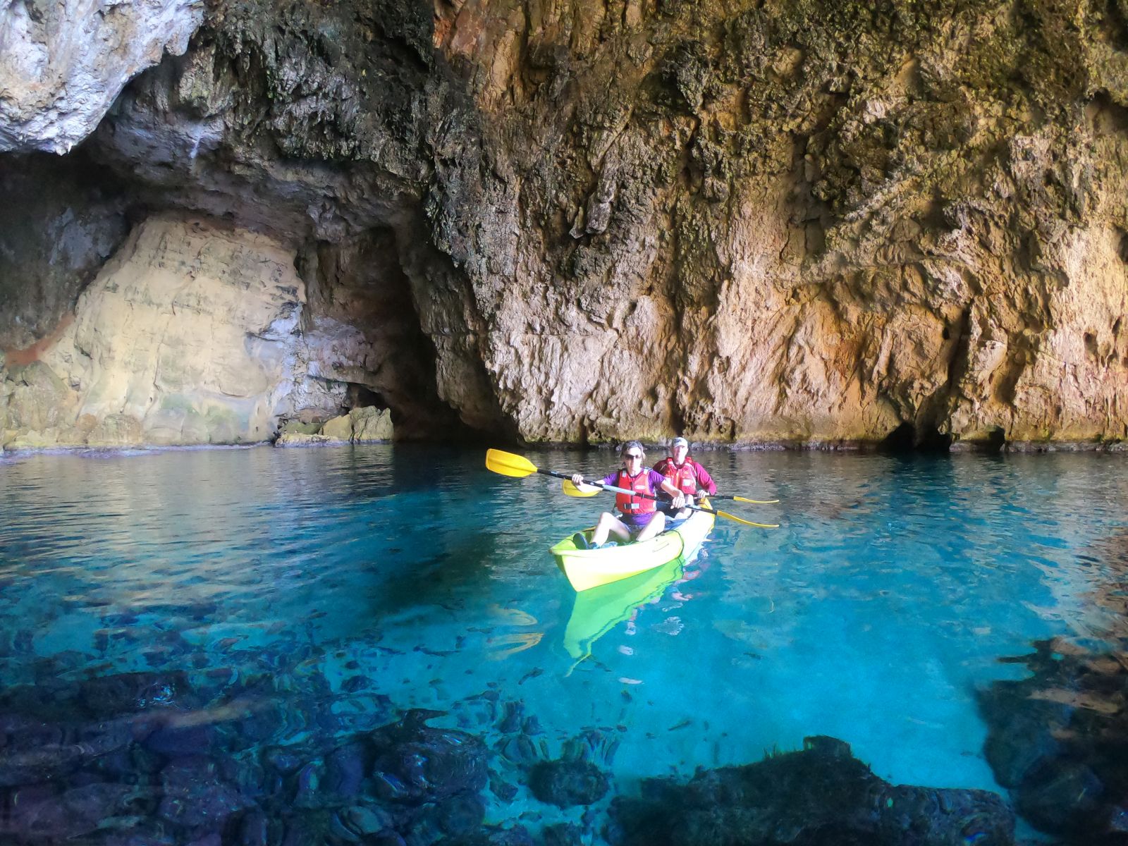 Cova dels &Ograve;rguens