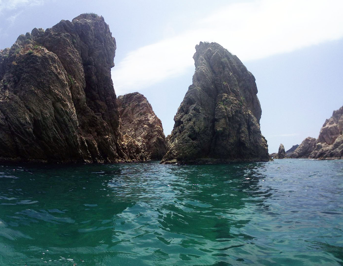 Freu de Terra des Palomar