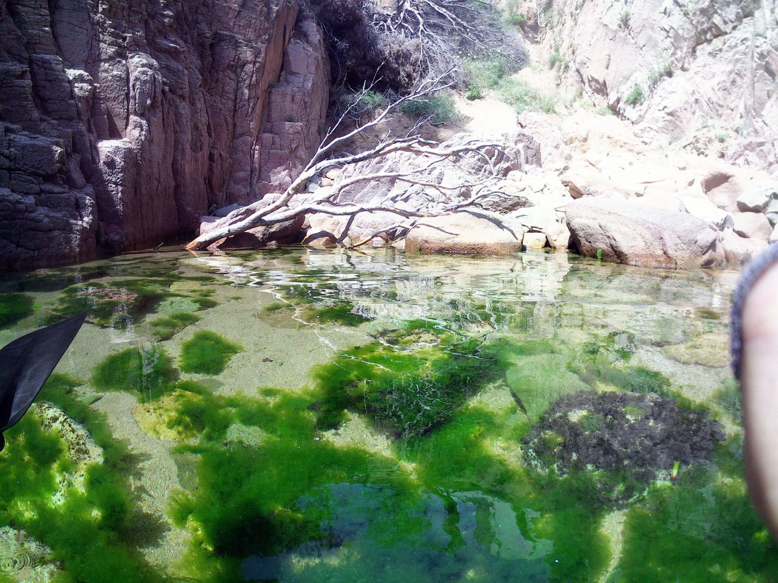 Sa Cambra de Salions