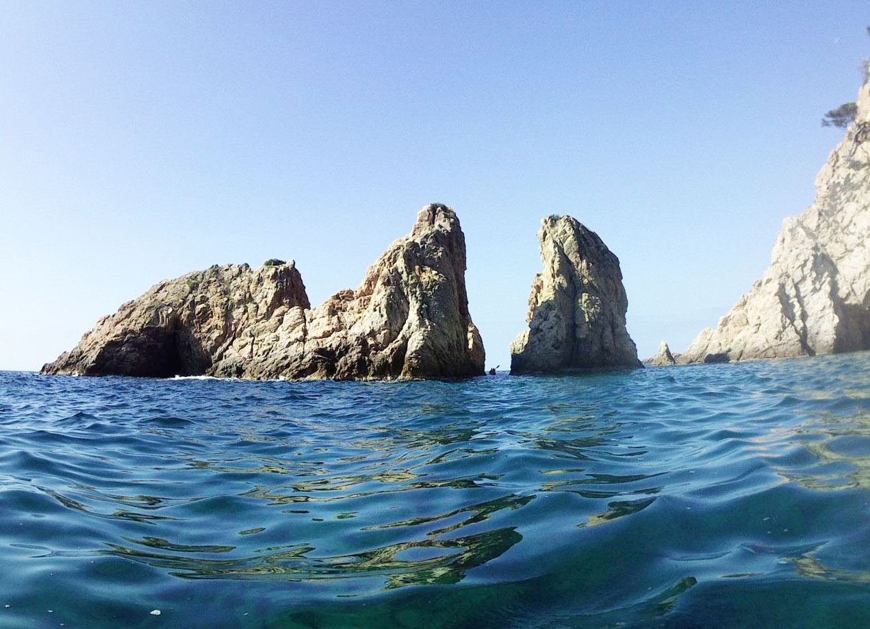 Freu des mig des Palomar