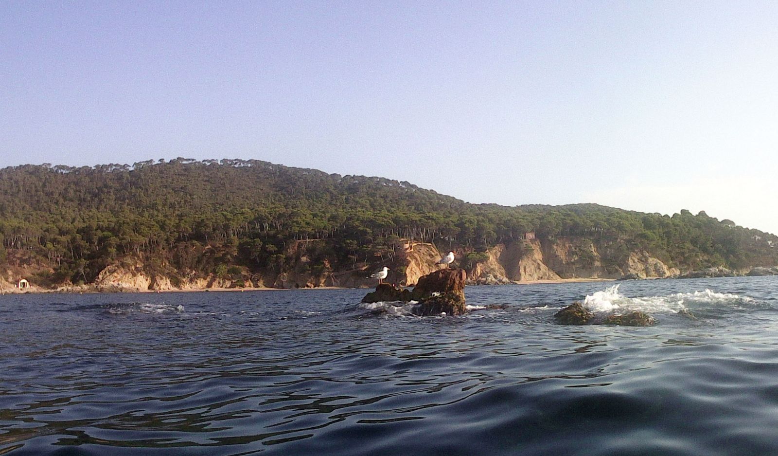 Forall&oacute; de Terra o Furi&oacute; de Cala Estreta