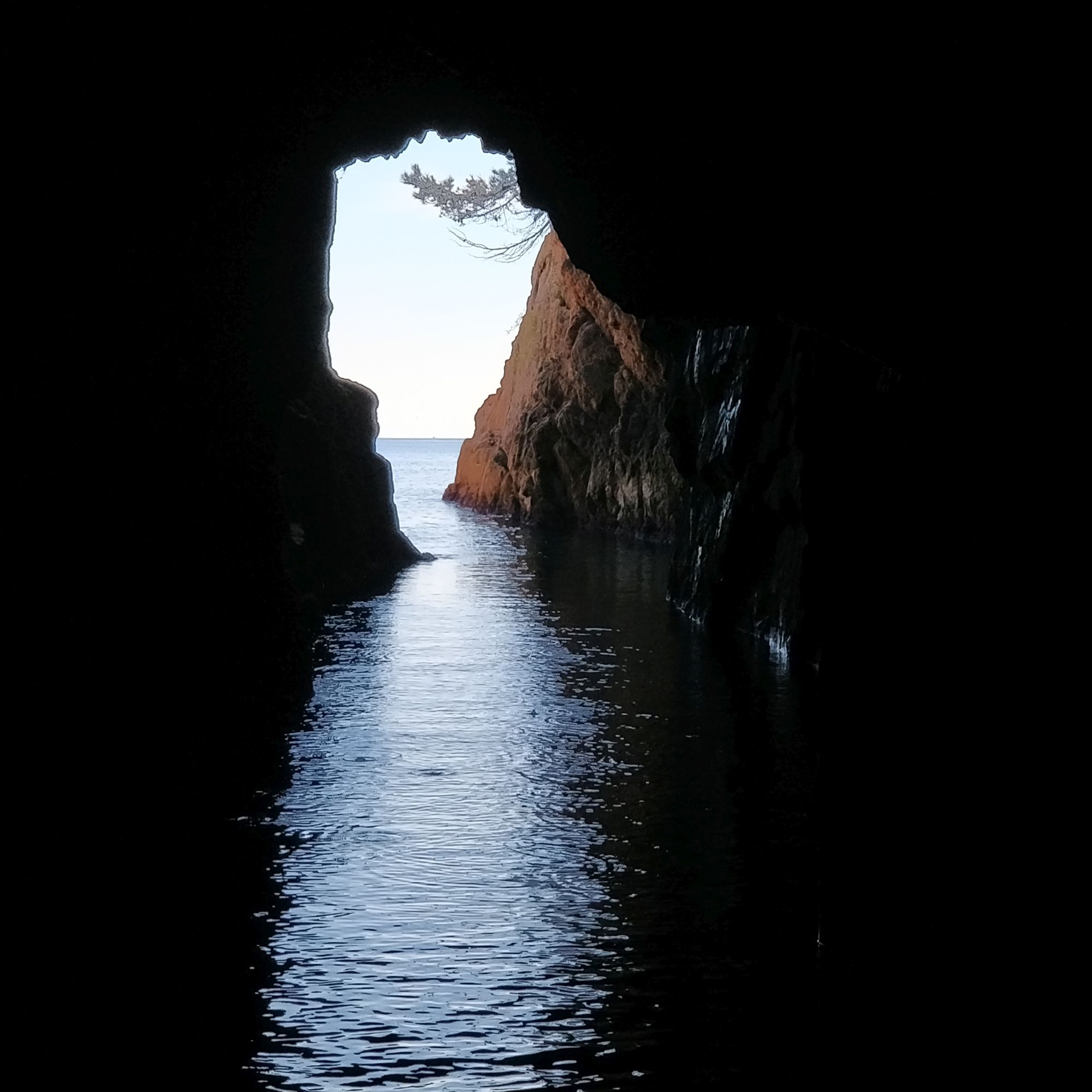 Cova de les Ratetes Penades