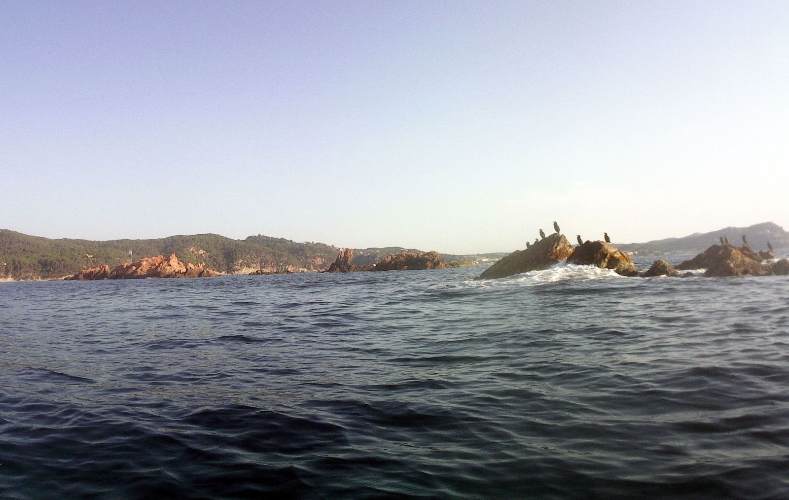 Forall&oacute; de Fora de les Formigues