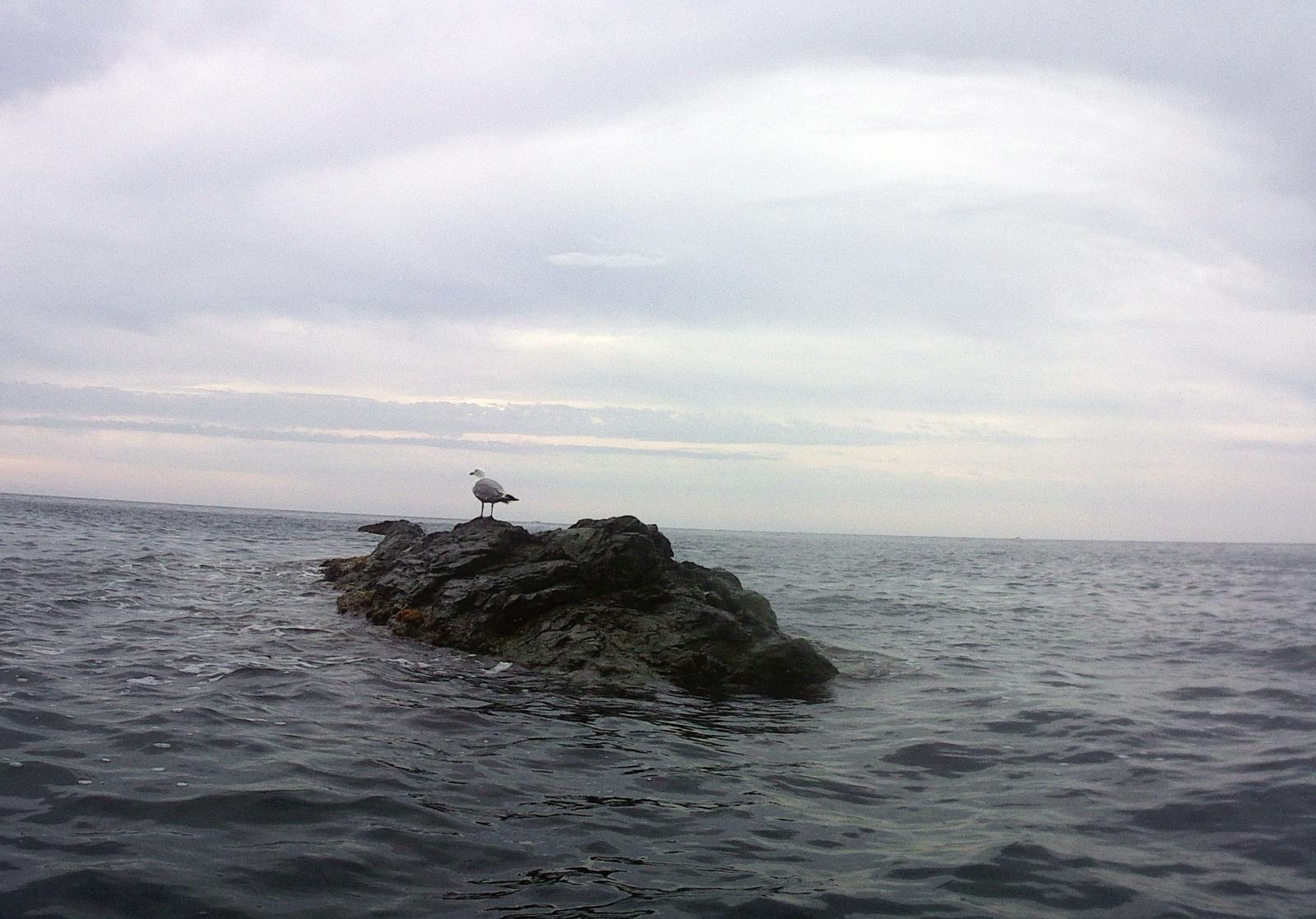 es Molt&oacute; Petit