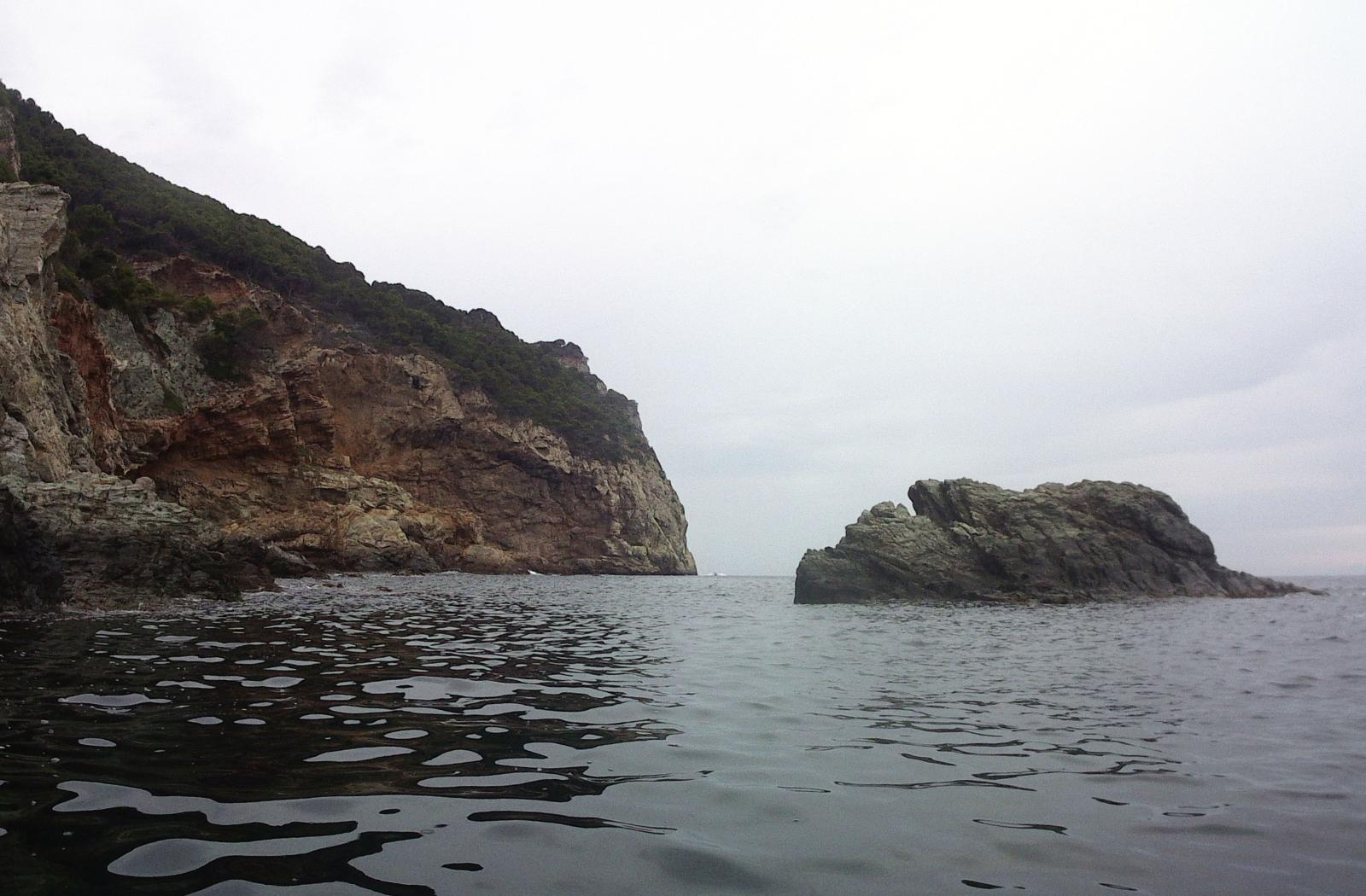 Forai&oacute; d'en Bragueta