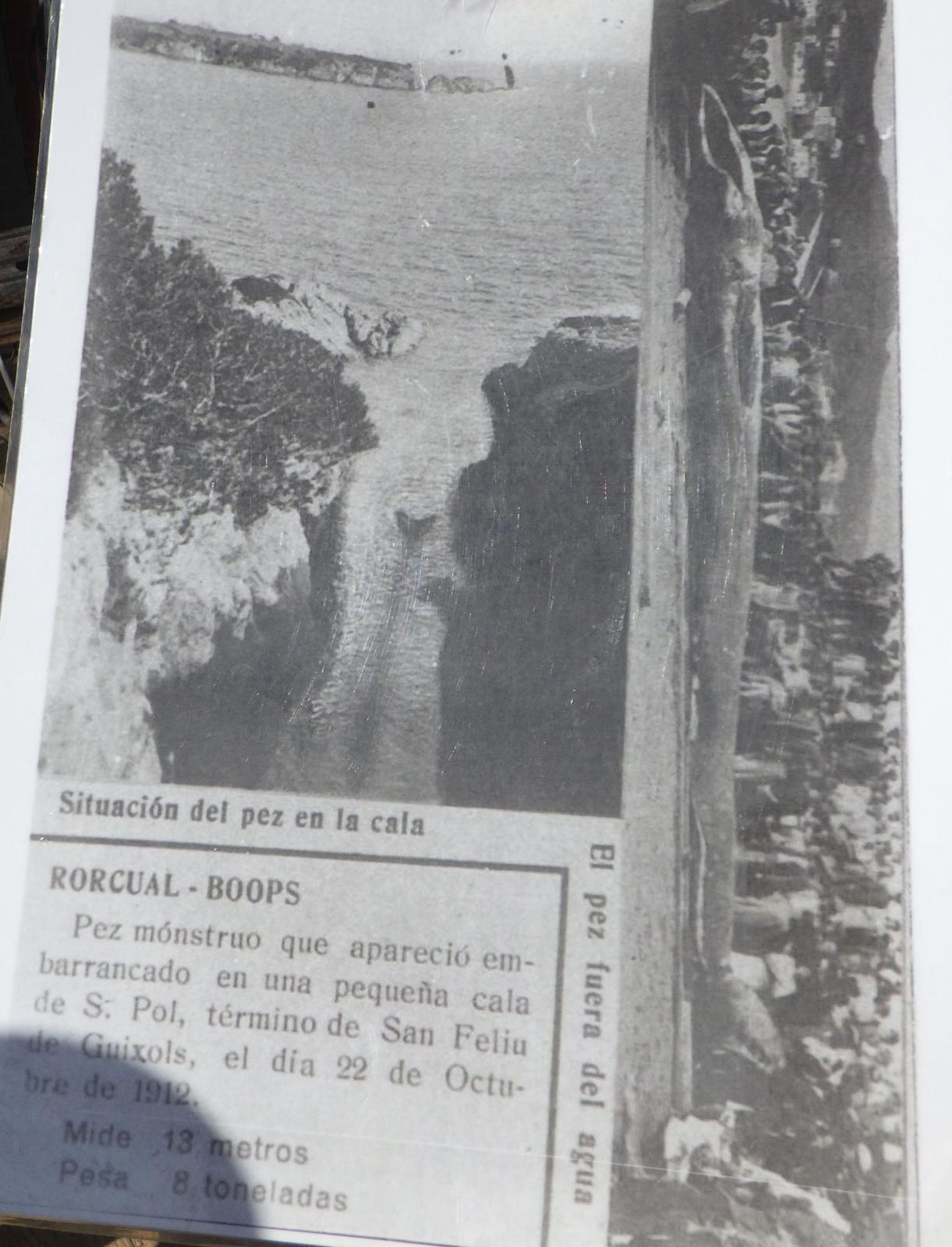 Cala Fonda o del Peix