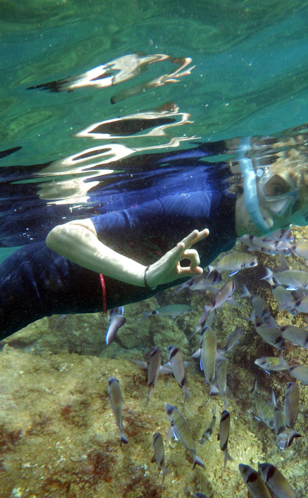 Sentier sous marin Cerb&egrave;re Banyuls