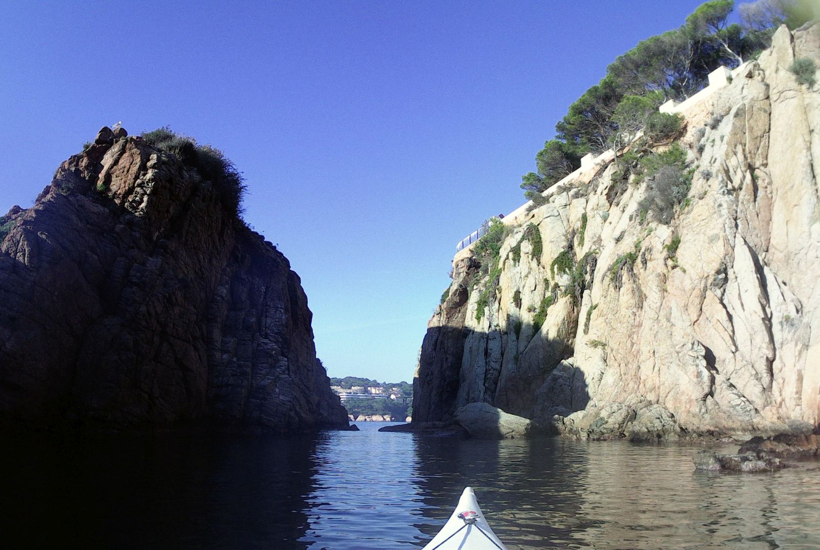 Freu de la Punta d'en Pau