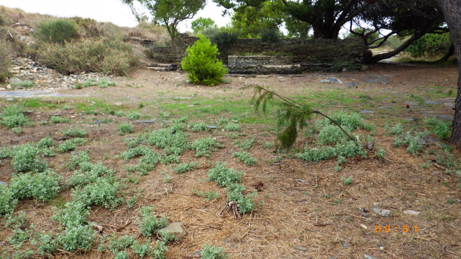 Platja de s'Illa de Portlligat