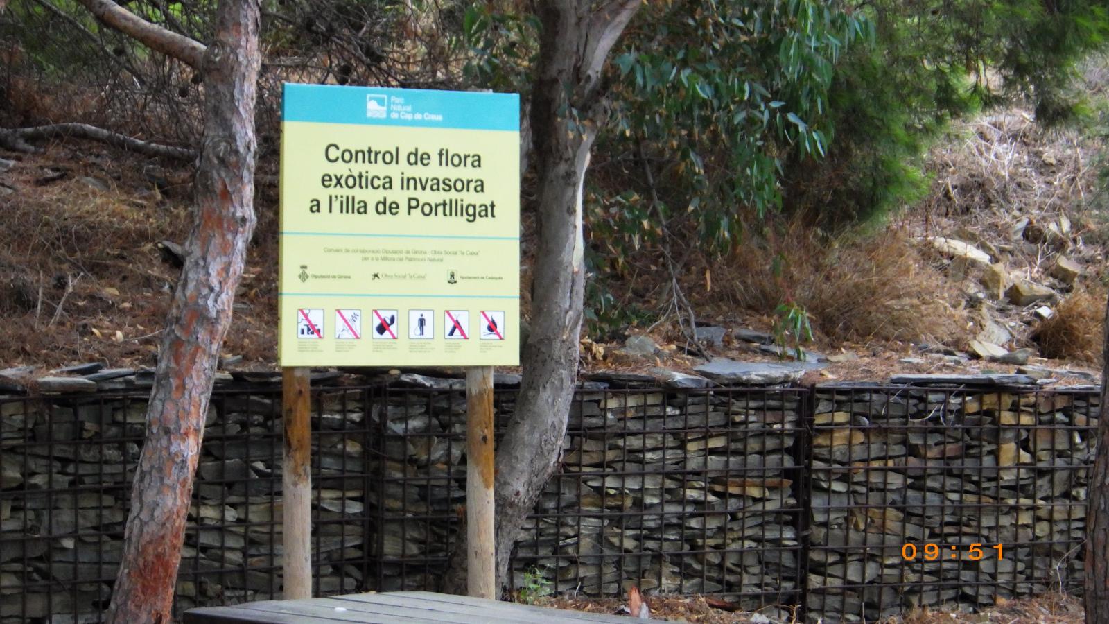 Platja de s'Illa de Portlligat