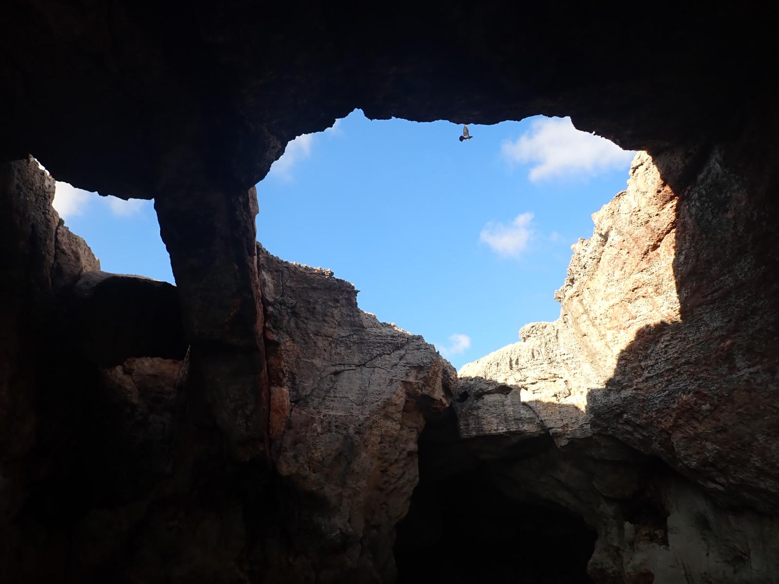 Bufador de Binibequer