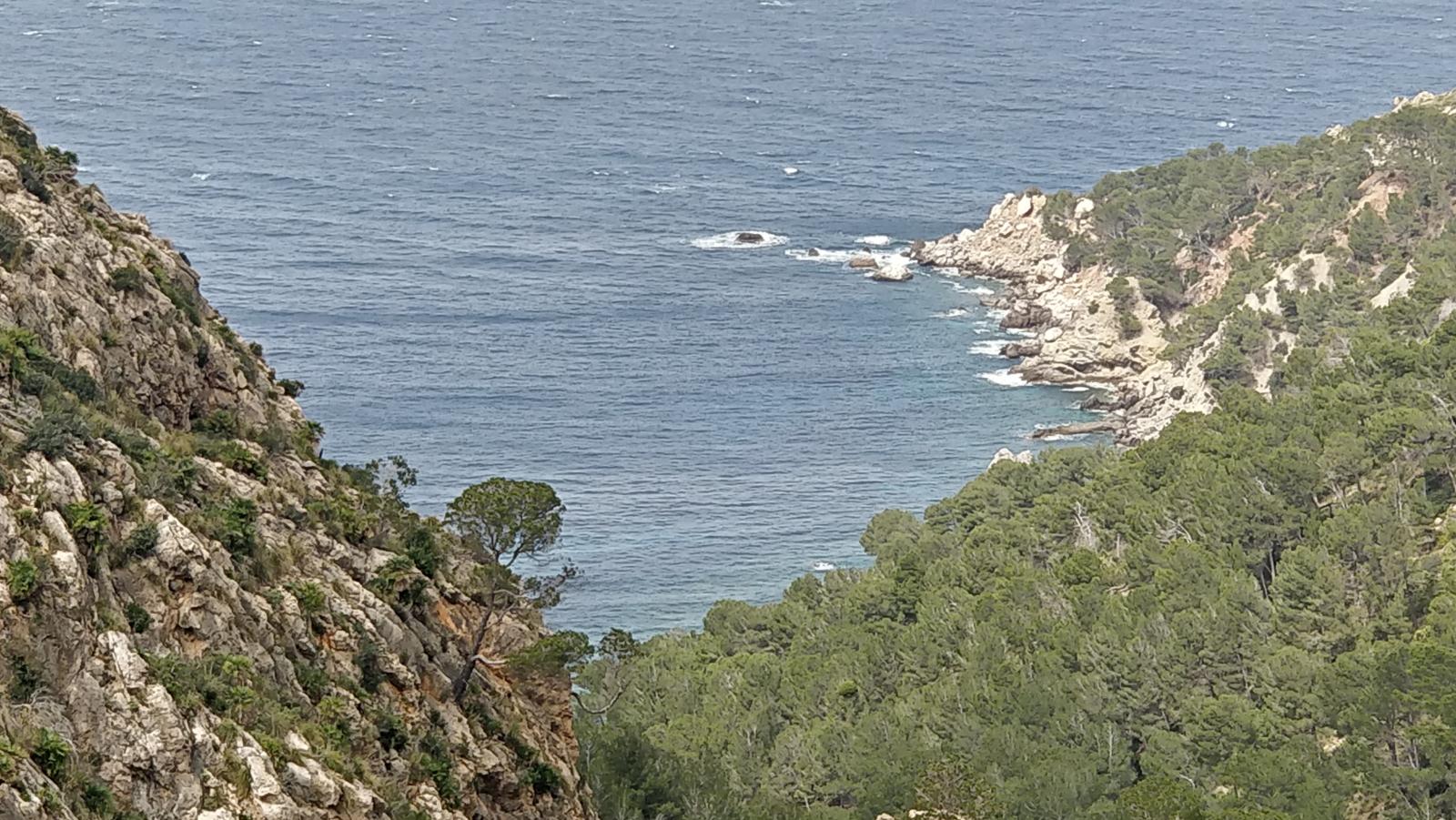 Cala de ses Ortigues