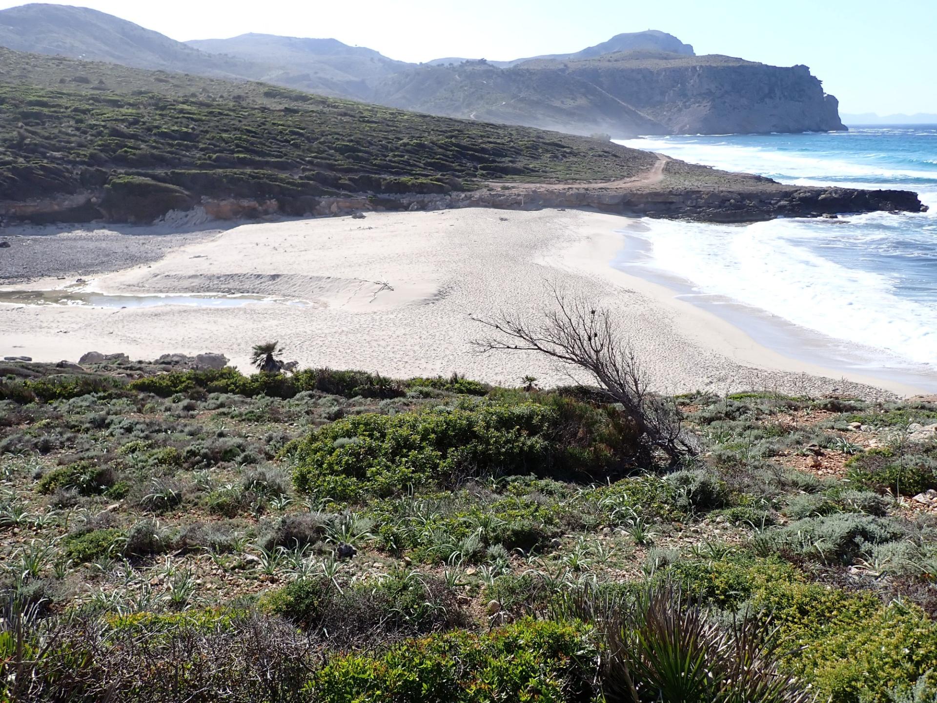 Platja de sa Font Salada