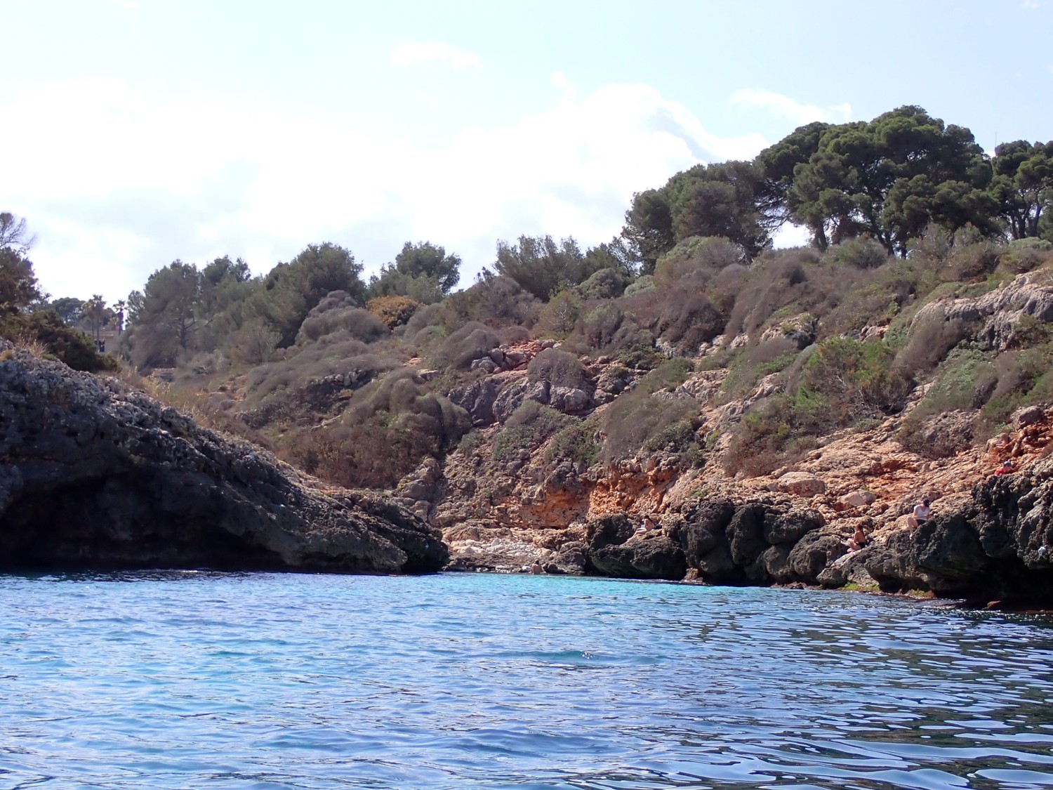 Cova Murtra