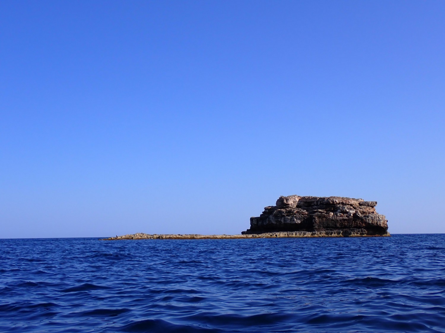 Farall&oacute; d'en Fred