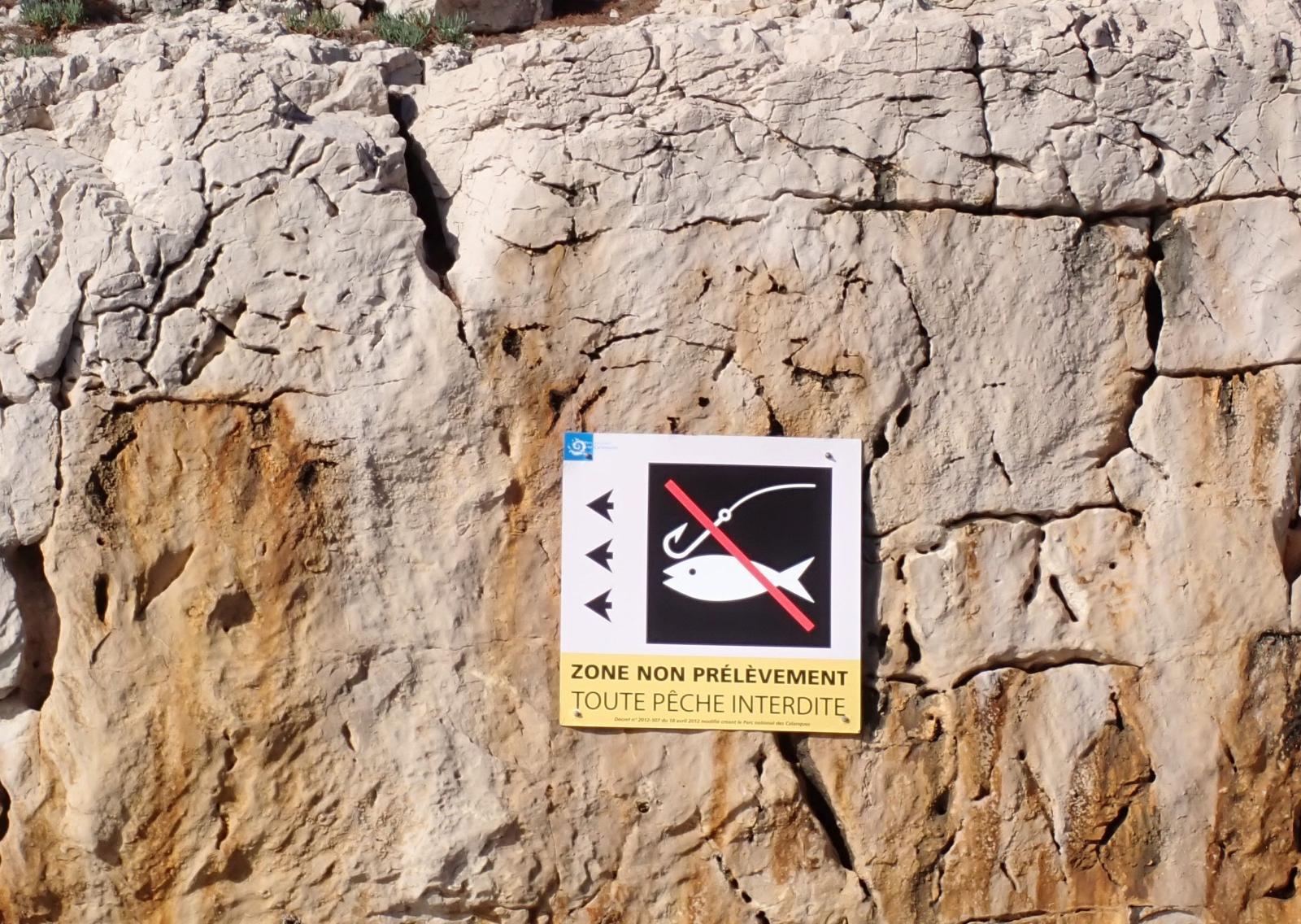 Restriccions pesca